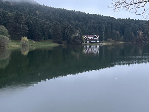 2023- Bolu-Nallıhan-Kefken Arazi Çalışması